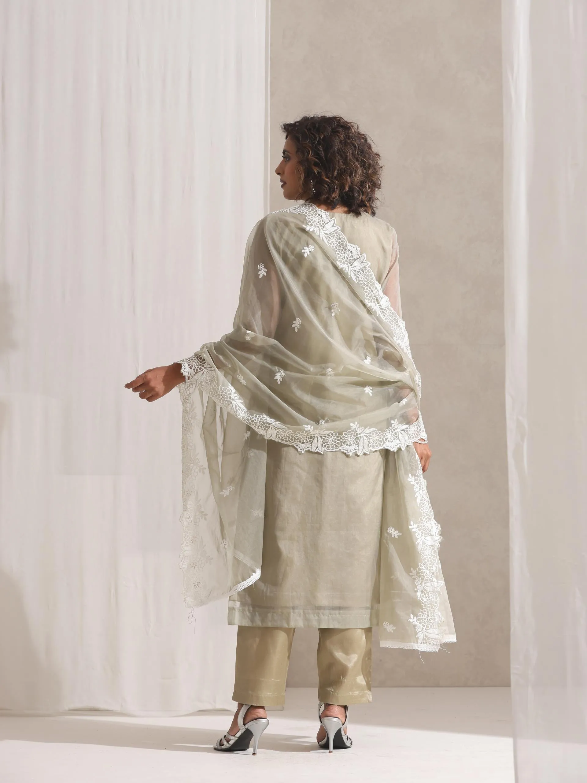 3 Pc SET - Fawn Beaded and Embroidered Organza Kurta and Border Dupatta with Pyjama