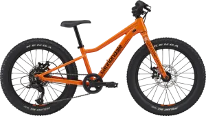 Cannondale Kids Trail Plus 20