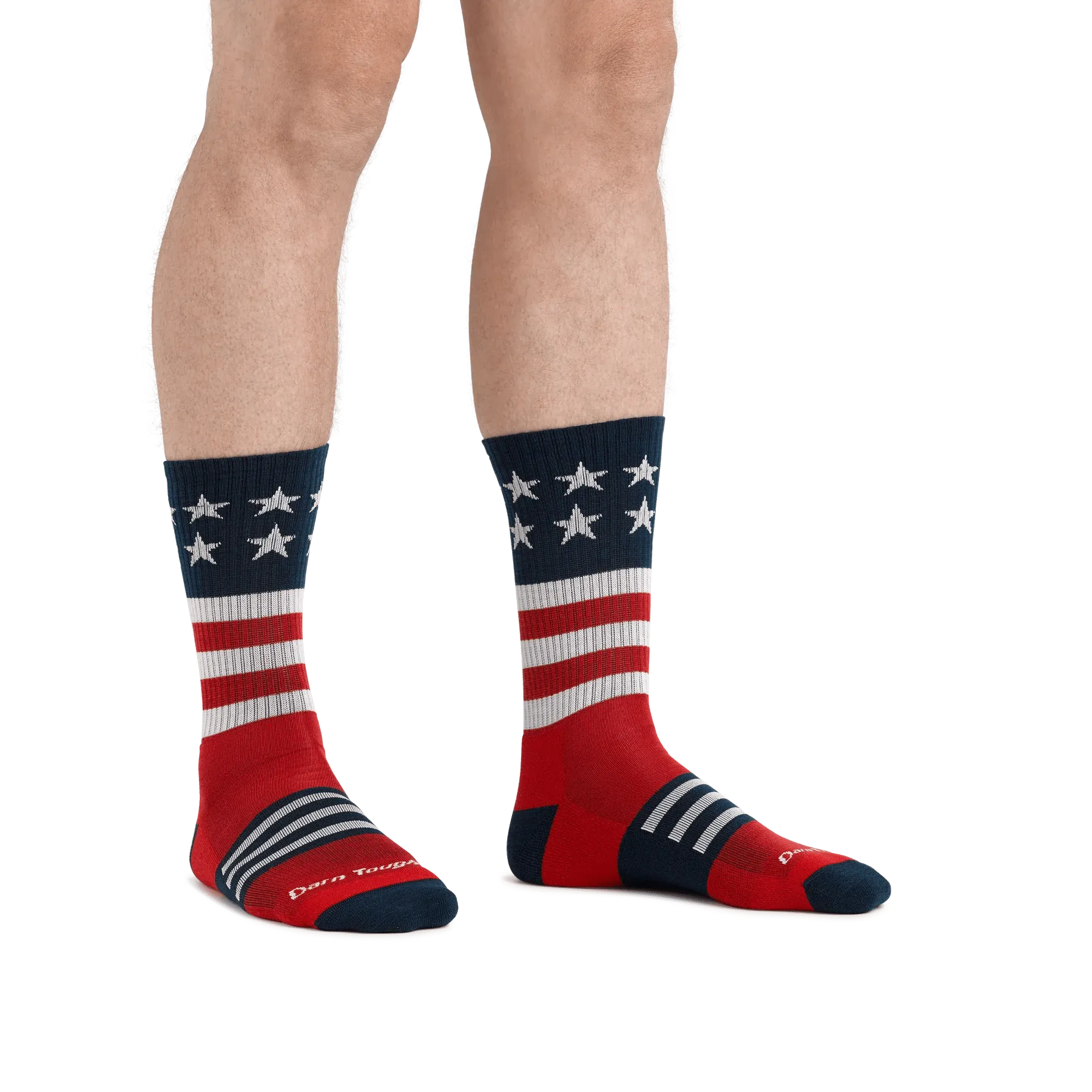 Darn Tough Captain Stripe Micro Crew Lightweight Hiking Sock - Men's