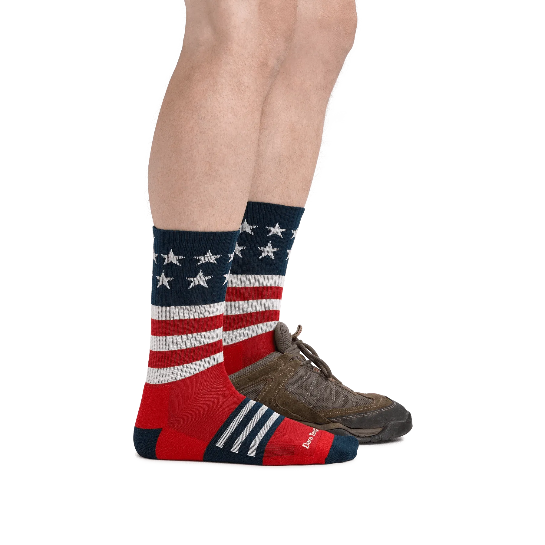 Darn Tough Captain Stripe Micro Crew Lightweight Hiking Sock - Men's