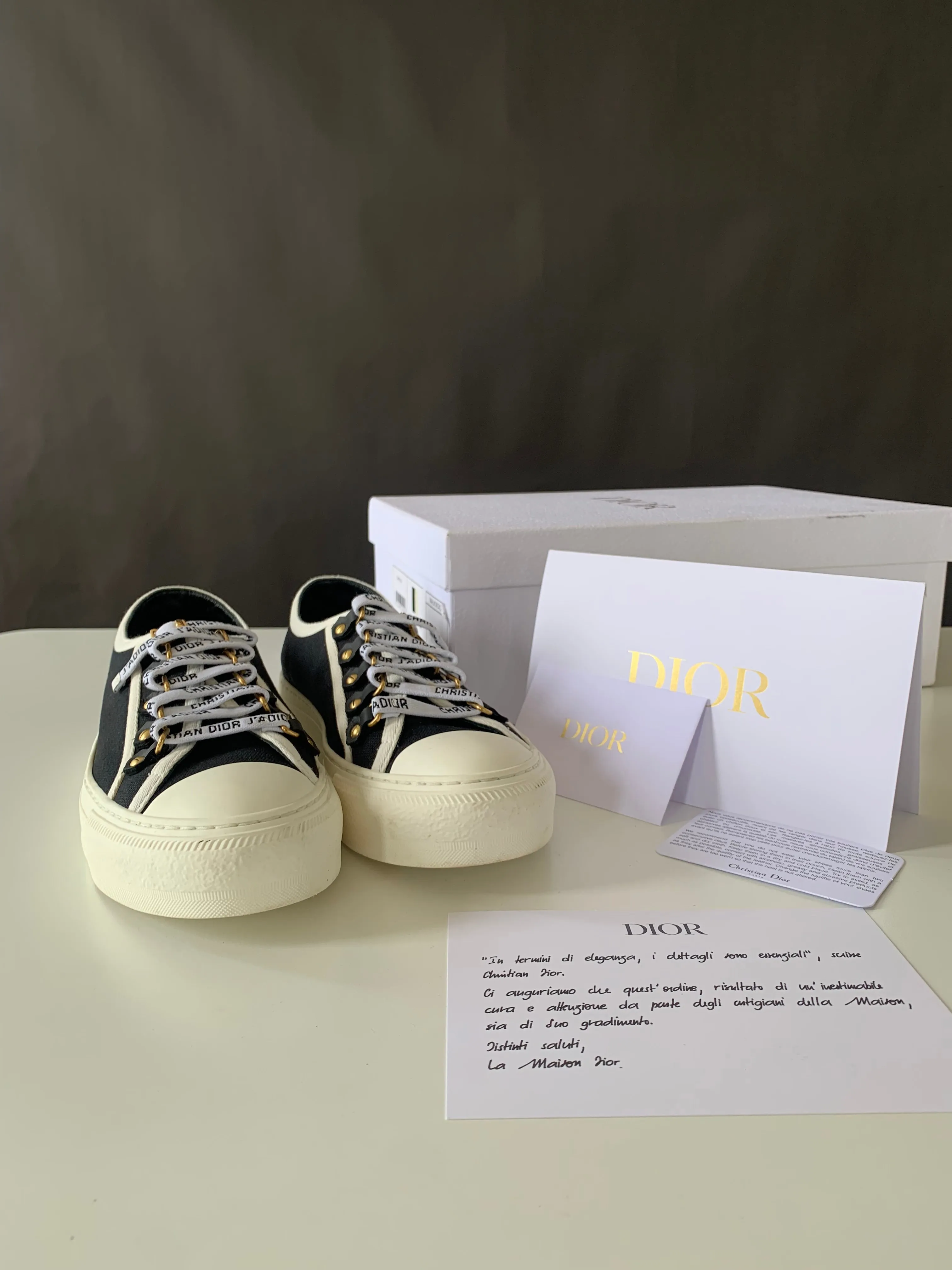 <b>DIOR </b> <br>Canvas Dot Walk'N'Dior Low Top Sneakers 36