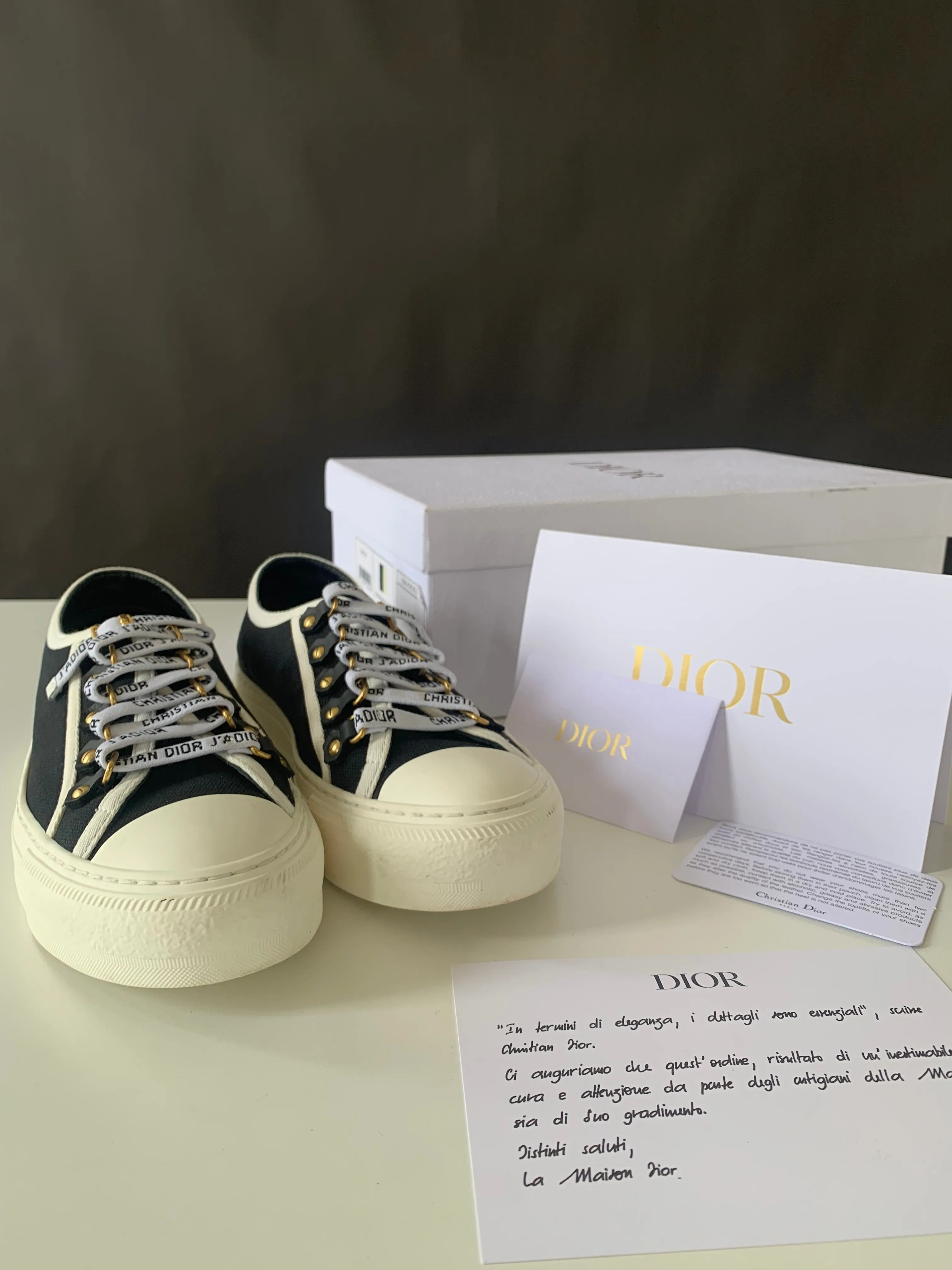 <b>DIOR </b> <br>Canvas Dot Walk'N'Dior Low Top Sneakers 36