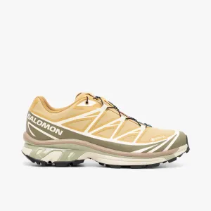 Salomon XT-6 GTX Antelope / Icicle / Portabella